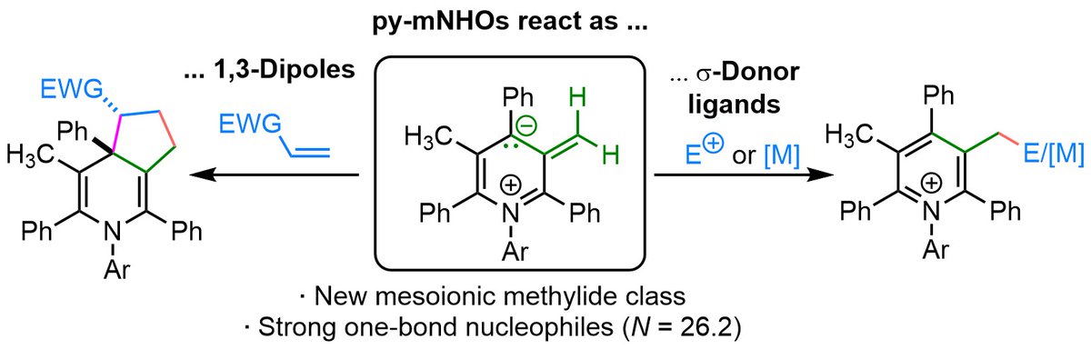 Finish of the year: A new class of mesoionic NHOs just accepted @angew_chem. Big thanks to the group as well as the joint work with @OfialLab and @RJ_Mayer. Happy New Year! onlinelibrary.wiley.com/doi/10.1002/an…