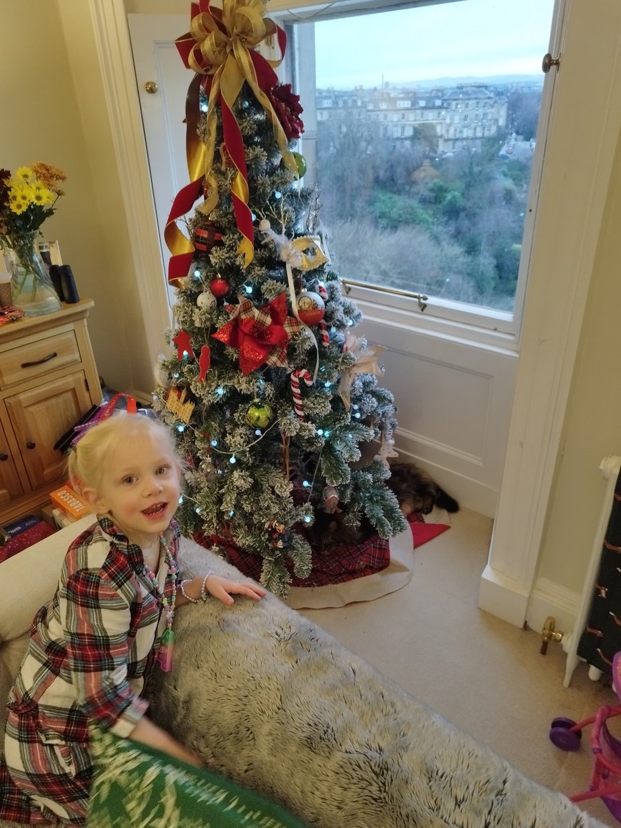 Hanu the Cat tweet media