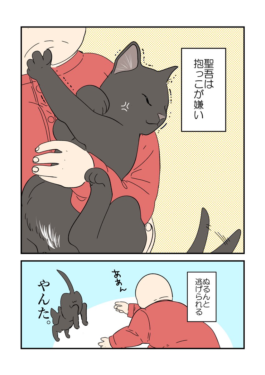 うちの黒猫様🐈‍⬛🖤1/2
スキンシップの話。 