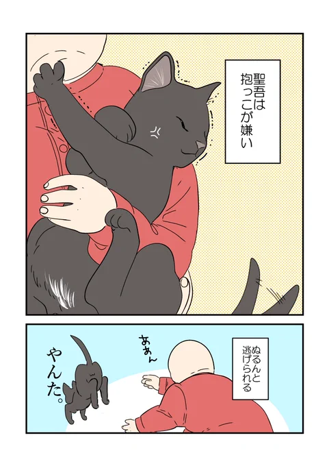 うちの黒猫様🐈‍⬛🖤1/2
スキンシップの話。 