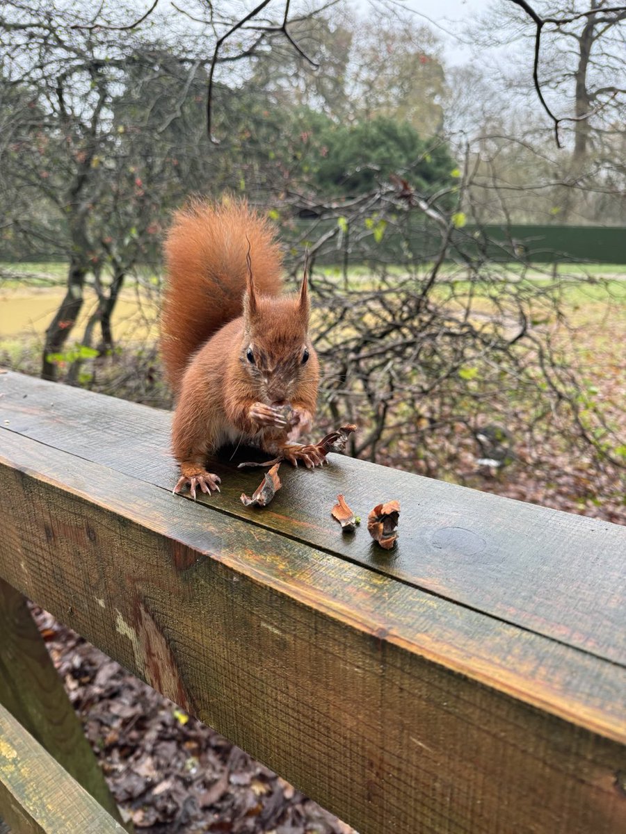 Nicola Spence CBE (@plantchief) on Twitter photo Congratulations to <a href="/JohnMGrimshaw/">John Grimshaw</a> <a href="/YorksArboretum/">Yorkshire Arboretum</a> <a href="/YorTHC/">The Tree Health Centre</a> for receiving an MBE in the Kings New Years Honours list #NewYearHonours Congratulations to <a href="/JohnMGrimshaw/">John Grimshaw</a> <a href="/YorksArboretum/">Yorkshire Arboretum</a> <a href="/YorTHC/">The Tree Health Centre</a> for receiving an MBE in the Kings New Years Honours list #NewYearHonours