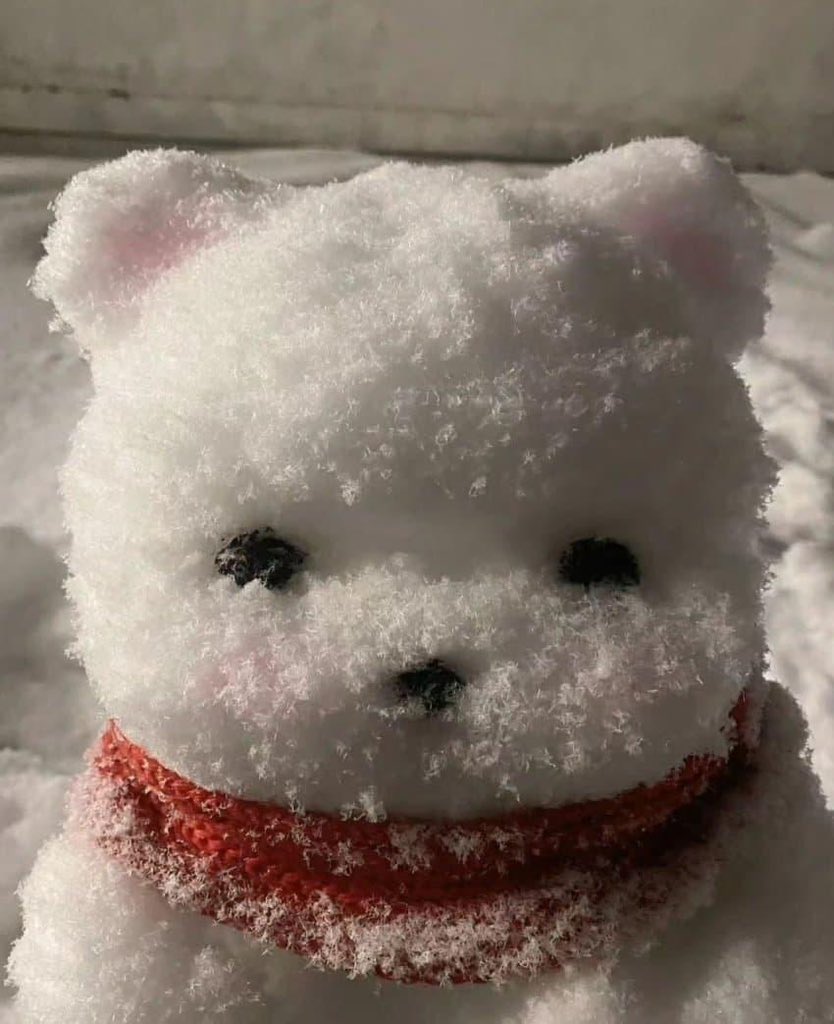 귀여운 강쥐인 줄 알았는데 눈사람이래..졸귀☃️