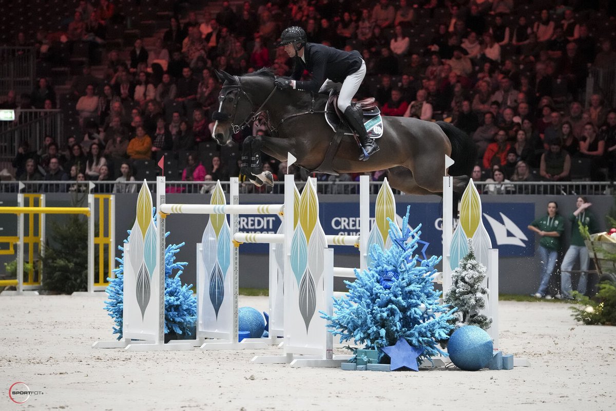 Au programme de cette dernière journée de compétition à Malines 🇧🇪 :

➡️ facebook.com/kevinstautoffi…

📸 Visconti du Telman
© Sportfot

#viscontidutelman #vivantegrafiniaps #kevinstaut #FEIJumpingWorldCup #jumpingmechelen