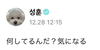 enhypen_funi's tweet photo. ソンフン彼氏かもしれないスレッド https://t.co/hgQsIvh9zj