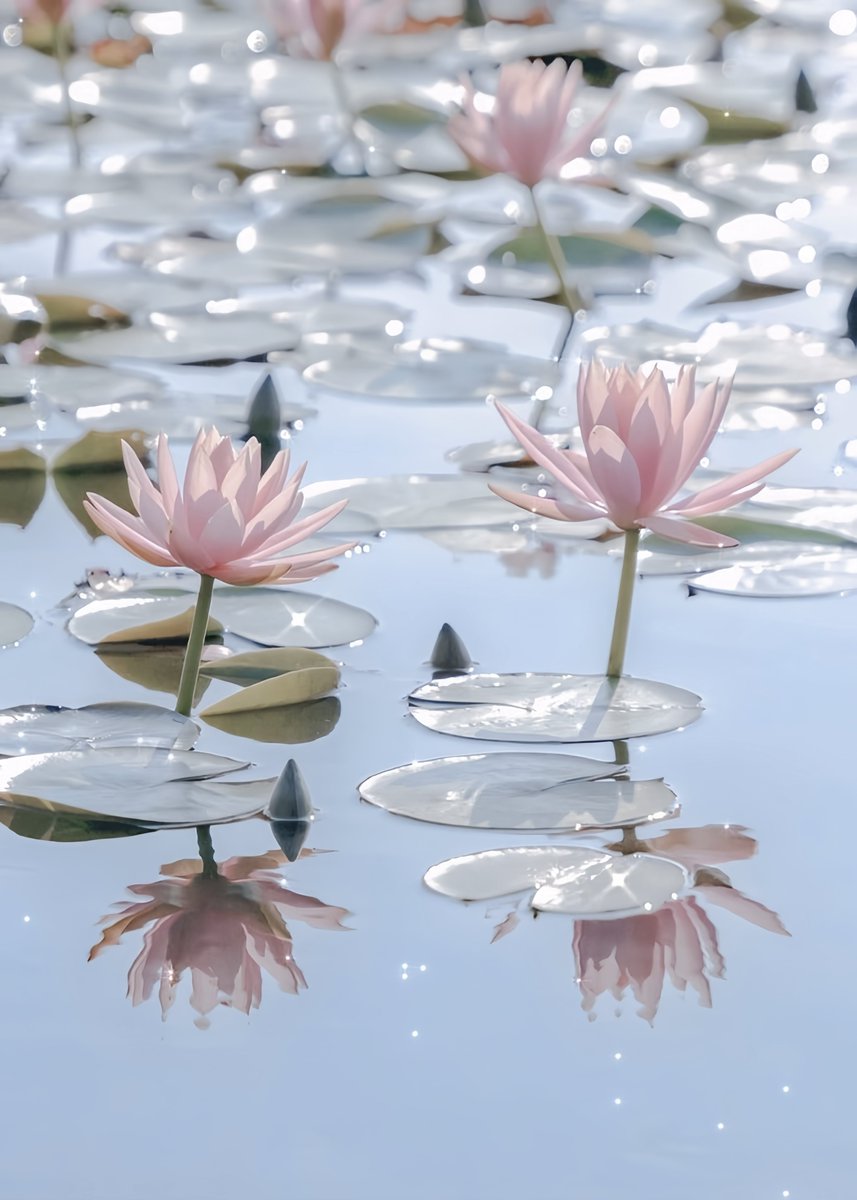 ⠀ 

       ม.ล. บูรณิมา เทวสกุล ( คุณบัว )
       𝗃 𝖺 𝗇 𝗀 － 𝗐 𝗈 𝗇 𝗒 𝗈 𝗎 𝗇𝗀 
       #สมาคมดุจไมตรี 🪷

⠀