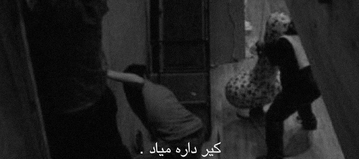 Shwkilaa's tweet photo. زندگیم وقتی دو روزه داره همچی خوب پیش میره : https://t.co/O3pQh9FoCW