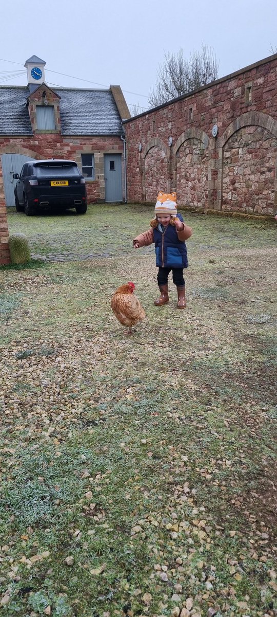 LeeksAndDeeks's tweet photo. Chasing chickens north of the border ๐๐ด๓ ง๓ ข๓ ณ๓ ฃ๓ ด๓ ฟ
#Hogmanay
#WinterChilling
#FamilyFun https://t.co/WQADPK69z7