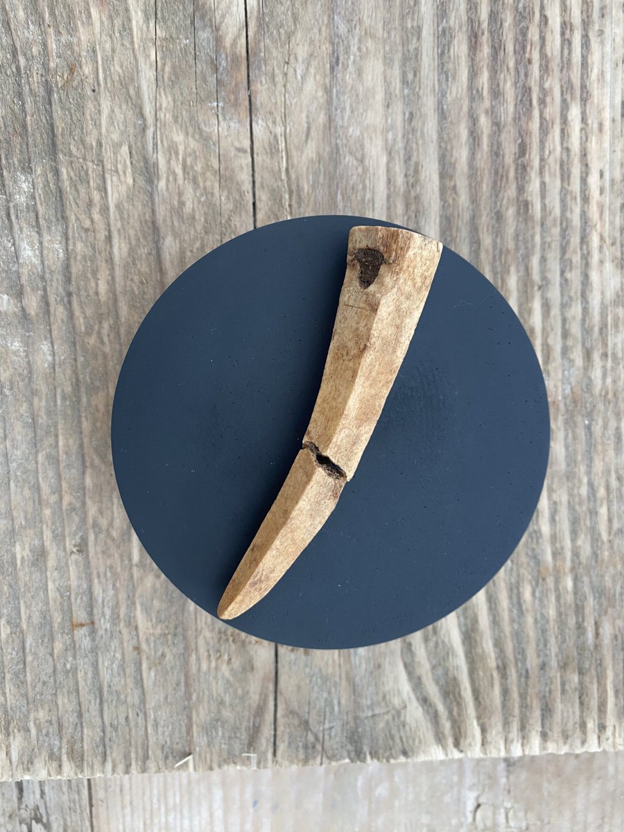 Thank you to everyone who has re-followed me (such weird gremlins in the system!) or just started following me. 

#DiggingForBritain starts on <a href="/BBCTwo/">BBC Two</a> next Tuesday and I’ll be sharing lots of delicious archaeological content, links to further info and behind-the-scenes secrets so