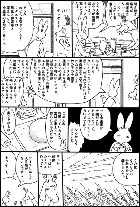 🐇🐉