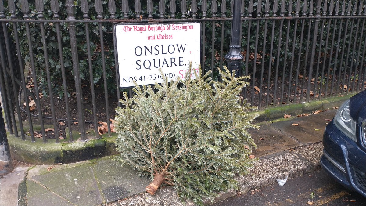 timplumb's tweet photo. First abandoned Christmas tree of 2023. https://t.co/DdcDvRNZ3J
