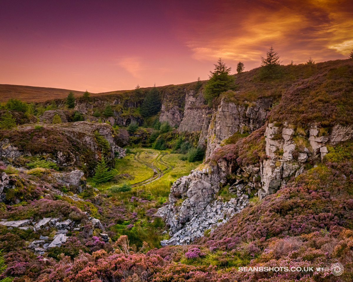 seansshots's tweet photo. Best pics of September in my 2023 countdown. A Common Darter, the old quarry at South Barrule plantation, Douglas harbour at sunset with mirror like water, the moon #myimages #favimages2023 #picsoftheyear2023 #iomstory #ThePhotoHour https://t.co/i90algVrkZ