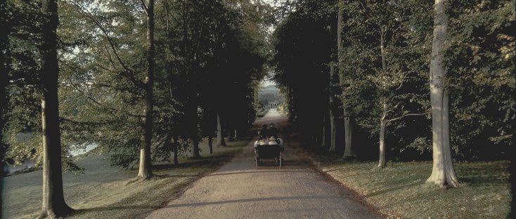 PENELOPE ! (@svmmerfields) on Twitter photo 