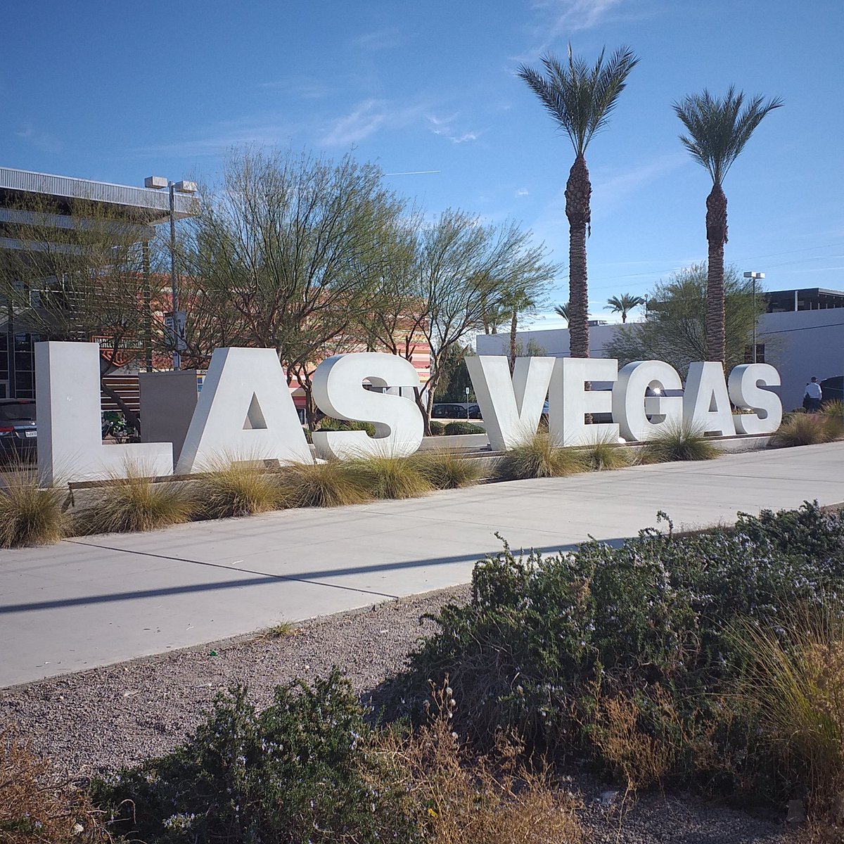 Olivier Petit tweet media