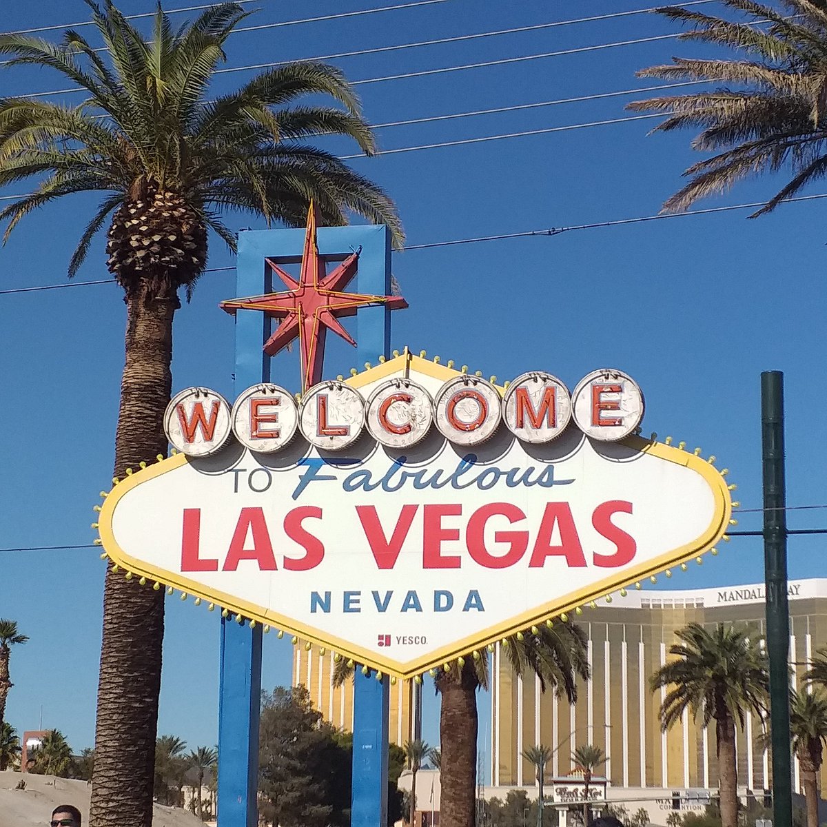 Olivier Petit tweet media