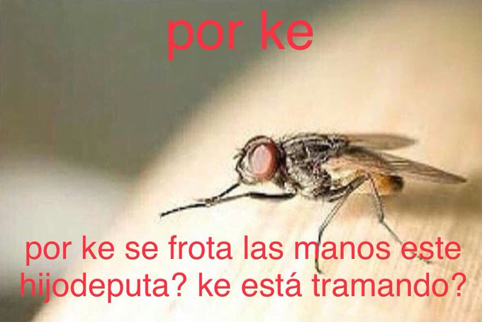 frigosouul's tweet photo. https://t.co/zdRFwT20Av