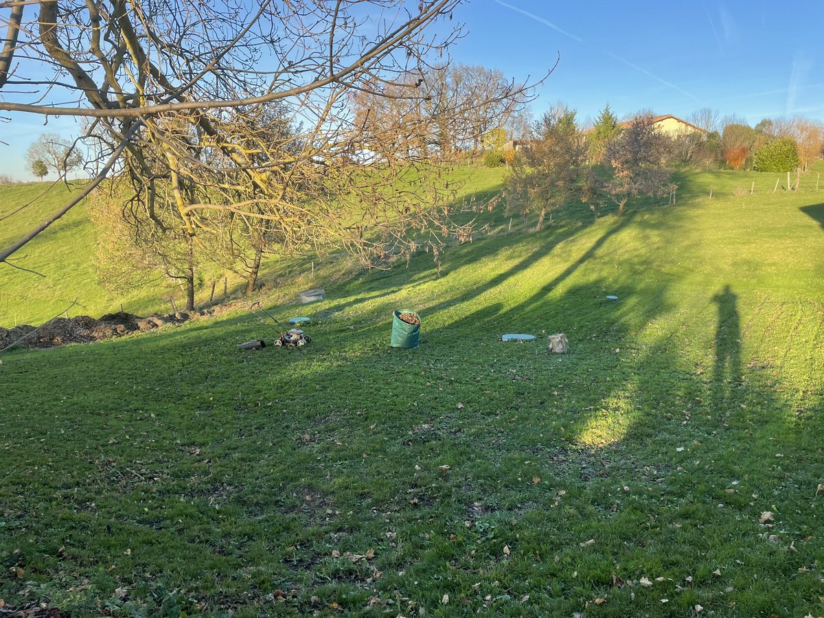 Last grass cut of year complete😀. A very pleasant 18 degrees today before normal service (and a bit of skiing) returns. #wintersun #frenchgite