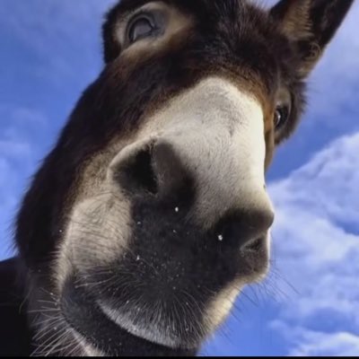 widods's tweet image. #FotoProfilBaru