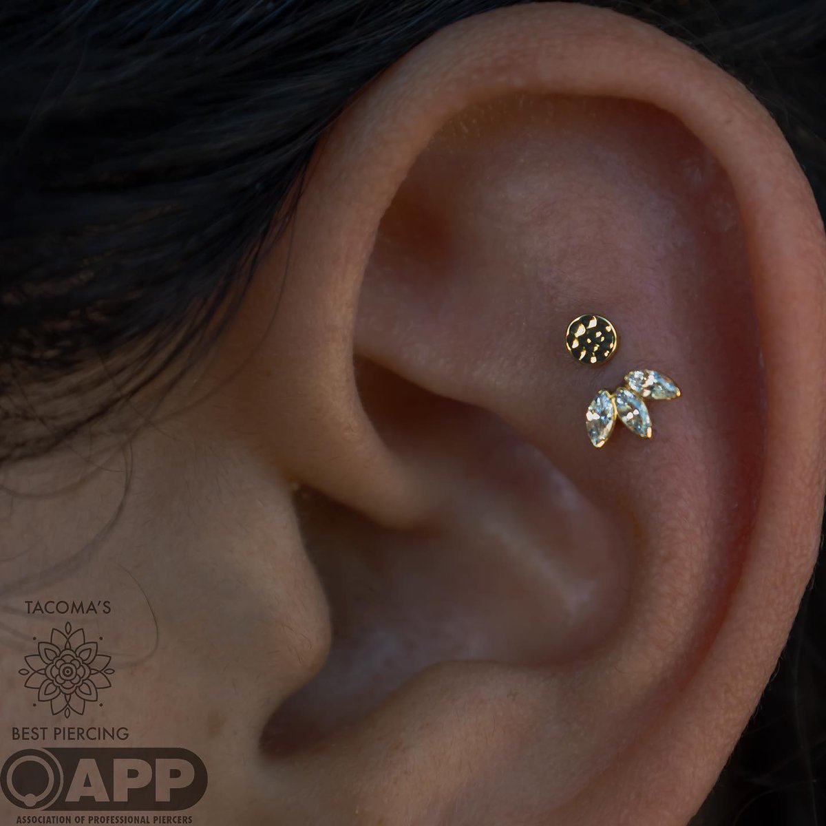 The perfect duo: Marquise Fan & Hammered Disk in 18K Gold! ⭐

#AnatometalInc #Bodyjewelry #Safepiercing #18kgold #hammereddisk #golddisdk #marquisegemstone #marqusiefan #goldbodyjewelry