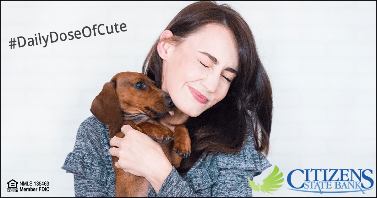 There's nothing like a little puppy love - literally or figuratively. Check out our financial wellness blog for a little knowledge to go along with your #dailydoseofcute.  hubs.ly/Q02dJ2vl0