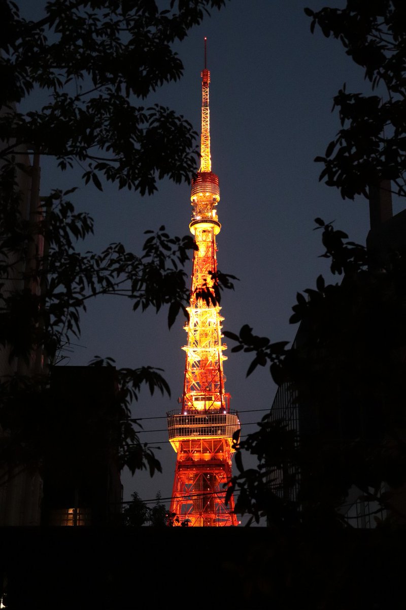 #tokyotower #tokyo #japan #nightphotography #nightlights #citylights #streetfotography