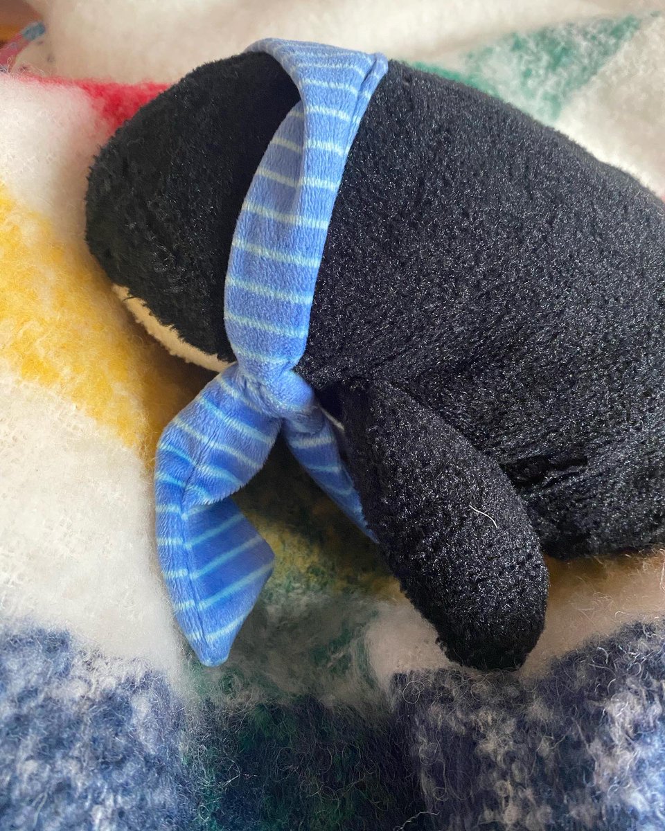 SadPenguinTime's tweet photo. Sad Penguin is feeling very meh. He’s in that lonely “everyone is busy with lives and family” stage of Christmas where he feels all alone. He’s also anxious about the coming new year and all the expectations even though it’s nonsense. 
So he’s just lying here for a bit. https://t.co/hztSjqGiE4
