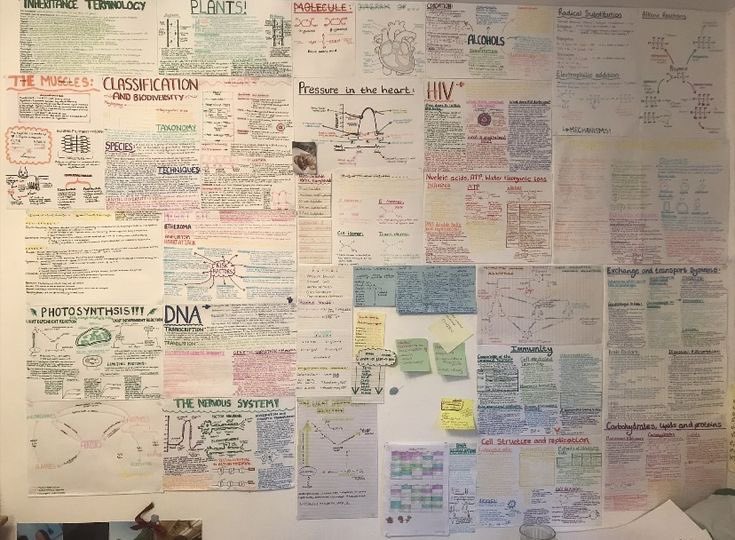 Tips SNBT 2026 tweet media