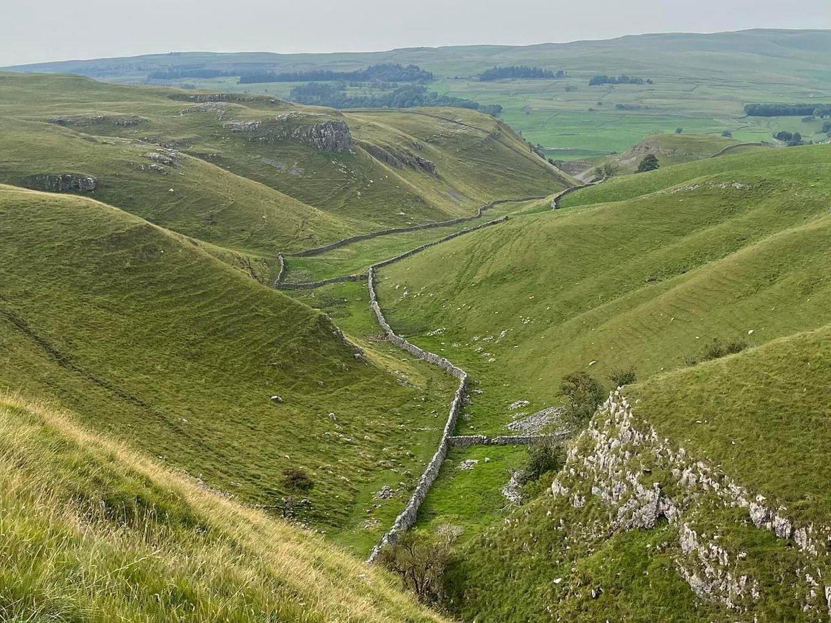 Mark Reid FRGS tweet media