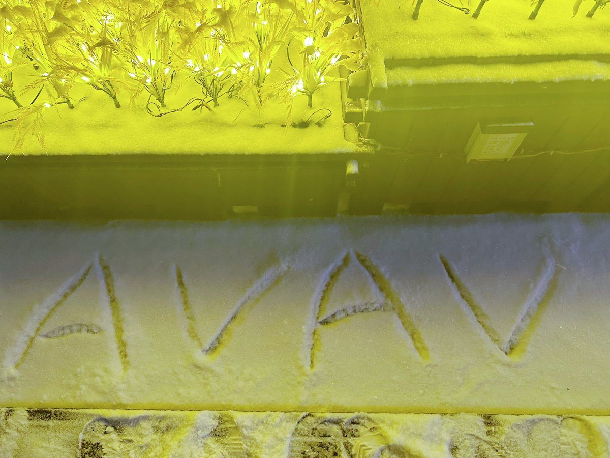 Web3diaochan's tweet photo. 来自本人亲手写的 #AVAV 
问中文社区贡献一个特殊素材了
 $AVAV 做强做大！靠大家一起努力💪
觉得我写的很好的，记得夸夸妲己噢🥰 https://t.co/CQ4nKMMXSH