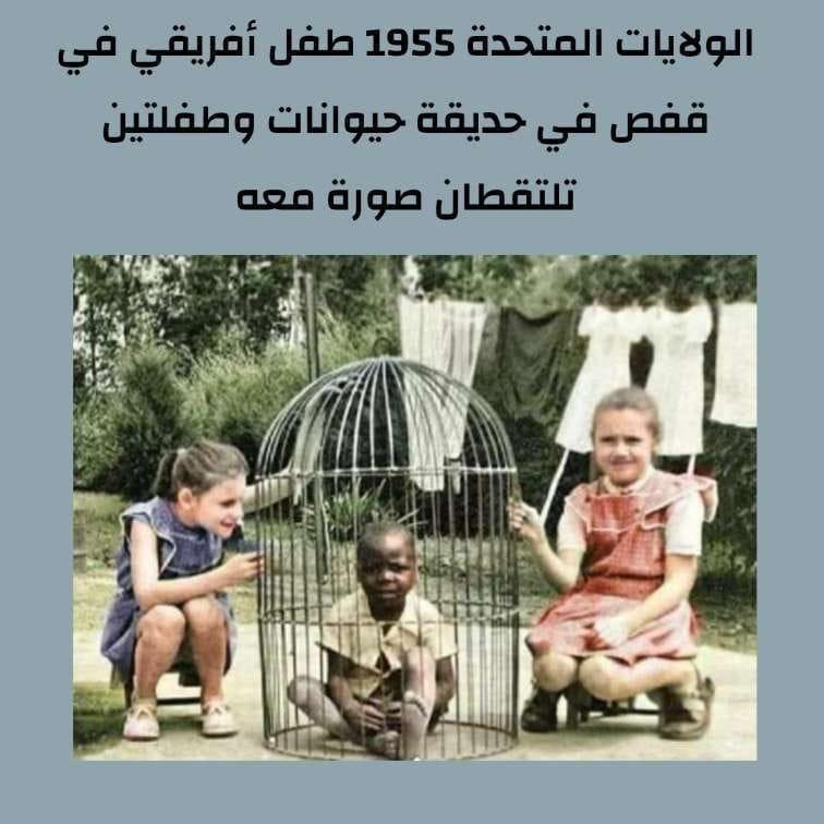 سيف ابن ذي يزن (@salmandh12) on Twitter photo 