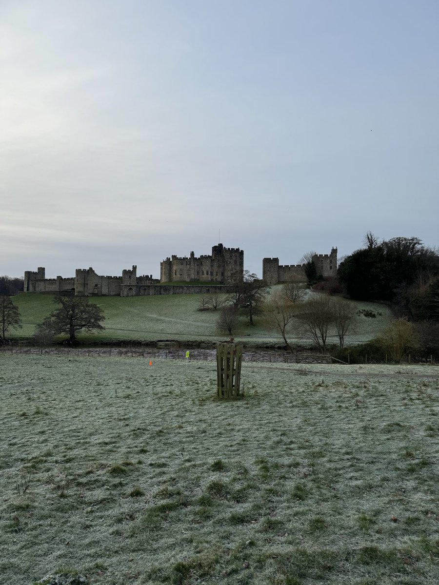 Dave Russel tweet media