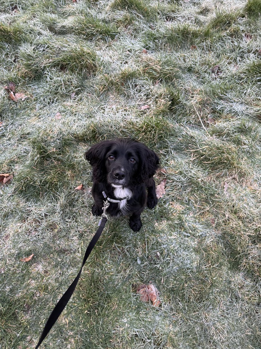 Dave Russel tweet media