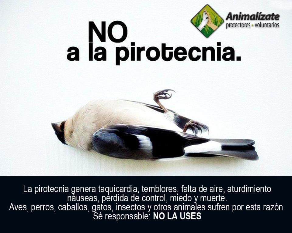 Por favor NO uses pirotecnia 🧨