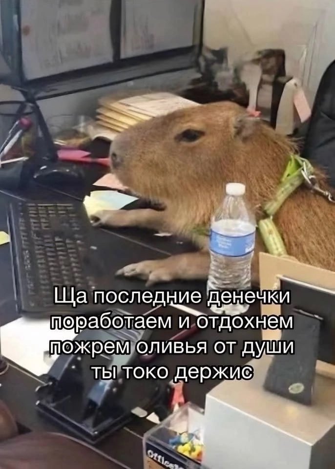 жуз (@juzzepppe) on Twitter photo 