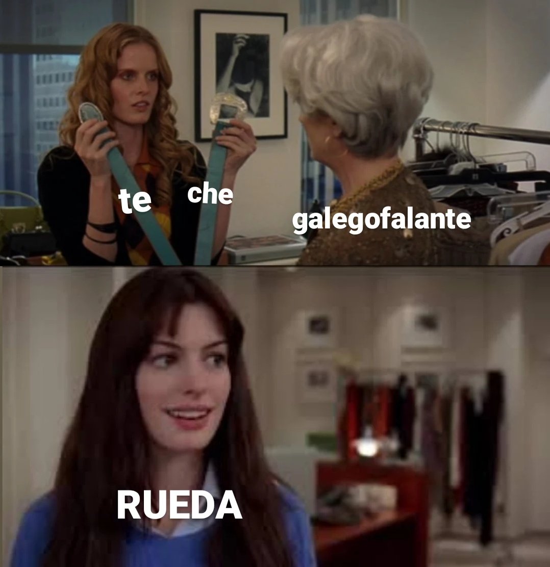 Alerta Velutina (@alertavelutina) on Twitter photo 