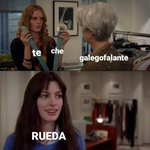 Photo by Alerta Velutina (@AlertaVelutina)