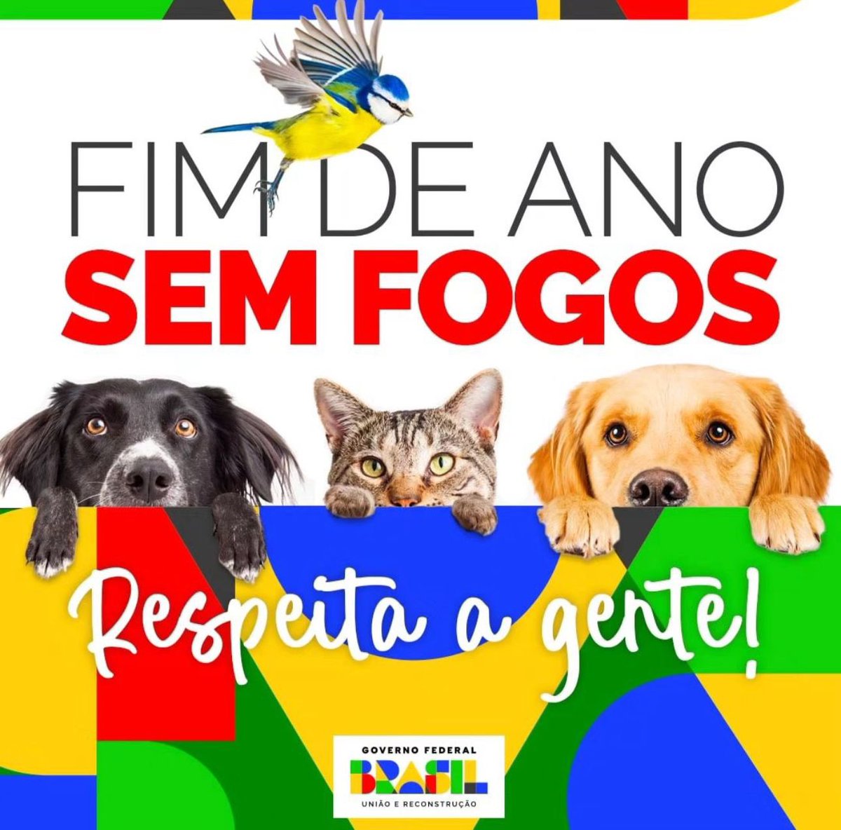 senadorhumberto's tweet photo. Se liga! 🐱🐶 https://t.co/8uMYIR76lE