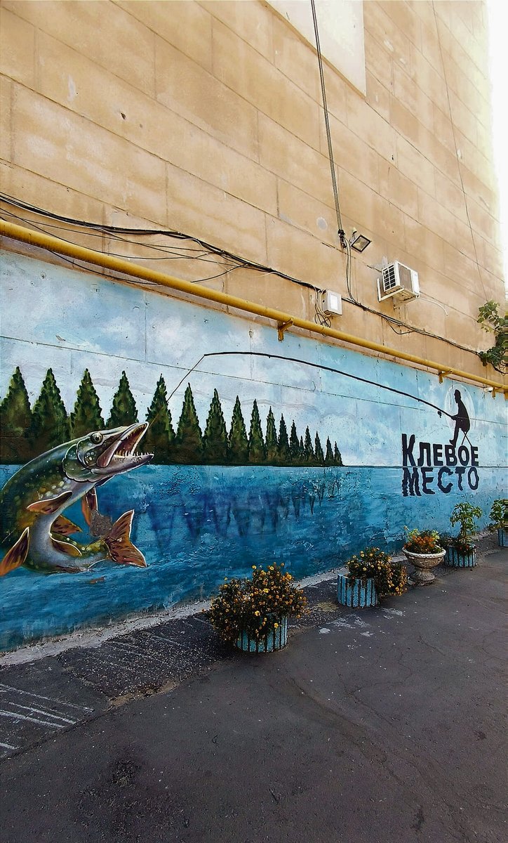 This is the kind of mural you can see in our yard 🎣
'Cool place'
Odesa, Ukraine 🇺🇦
#mural #art #StreetArt #fishinglife #fishing #WalkingStreet #Odesa #Ukrainian #Ukraine️
