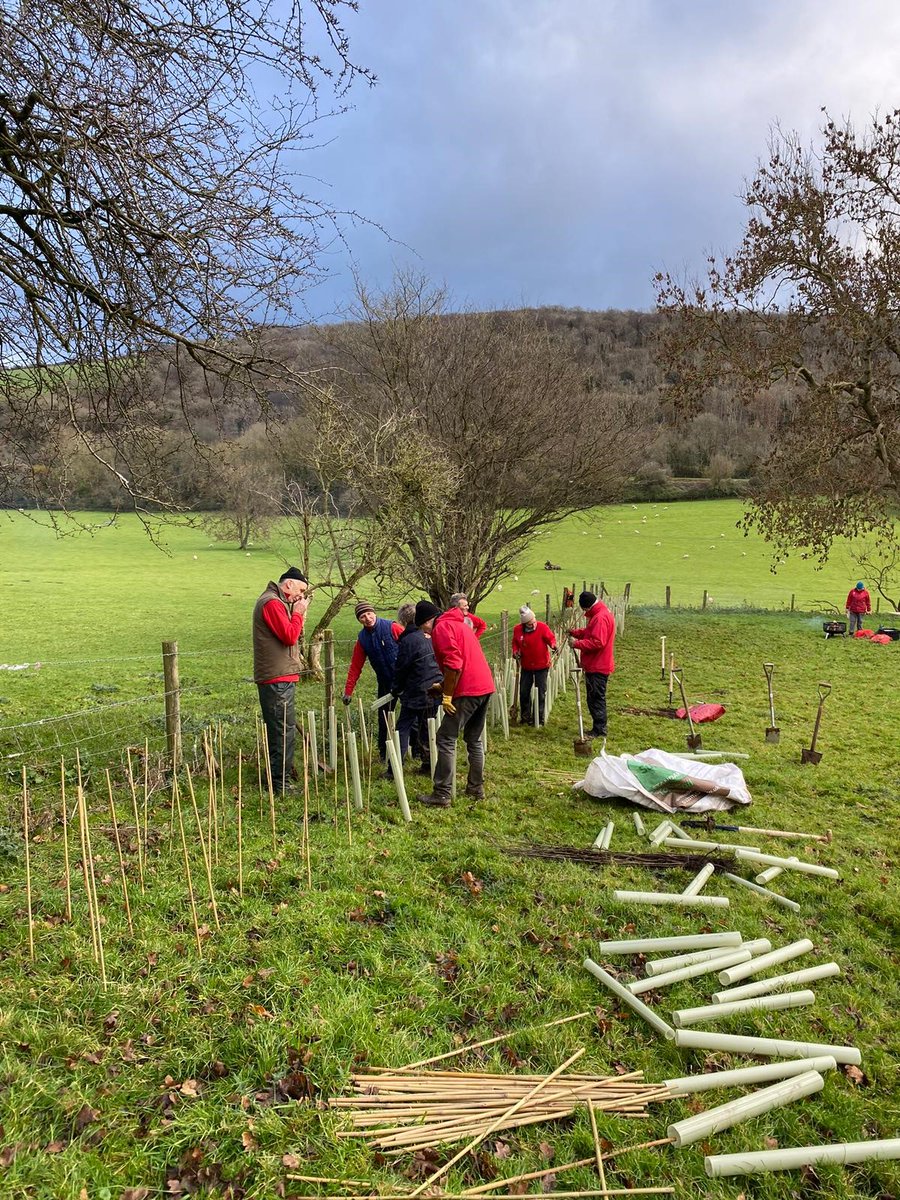 Somerset outdoor tweet media