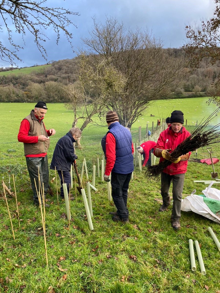 Somerset outdoor tweet media