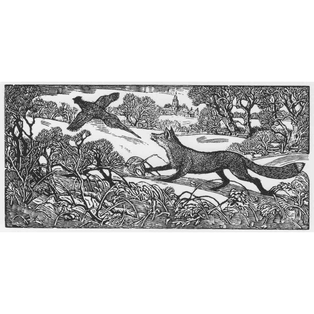 Edward Stamp -- Fox and Pheasant. The engravings from the 85th SWE Annual Exhibition are still available from our website. The 86th exhibition will open on 6th February at Bankside Gallery in London. Happy new year! societyofwoodengravers.co.uk #printmaking #woodengraving