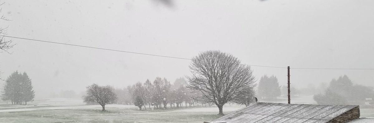 Quietbiglad's tweet photo. Let it snow #OldFirm #PubLater #holisayseason #Guinness https://t.co/4xNLjgPqJL