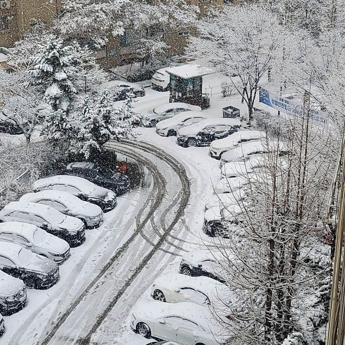 Hositam73's tweet photo. 12cm heavy snowfall in Seoul https://t.co/LawOLDVZkf