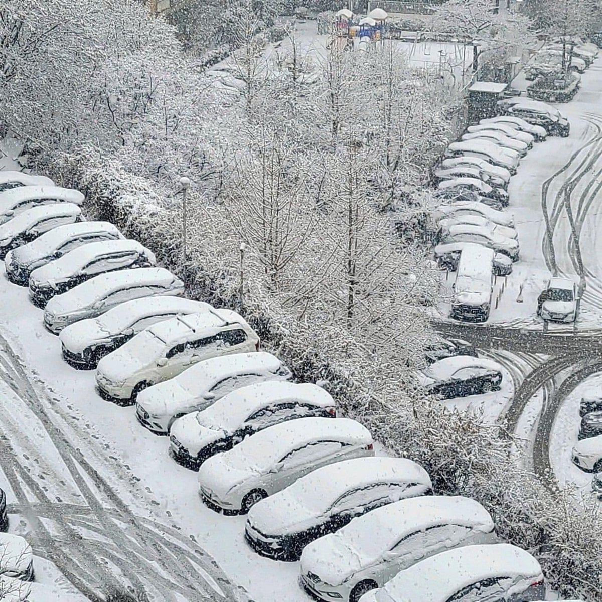 Hositam73's tweet photo. 12cm heavy snowfall in Seoul https://t.co/LawOLDVZkf