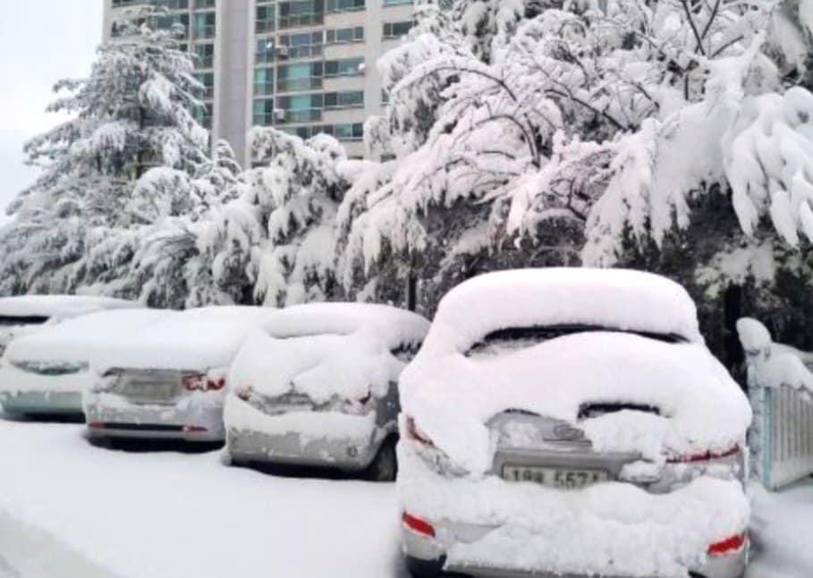 Hositam73's tweet photo. 12cm heavy snowfall in Seoul https://t.co/LawOLDVZkf