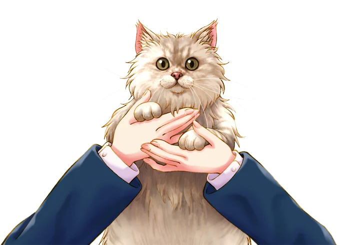 猫ちゃん抱っこする時用に。  #ひまちゃんアイテム