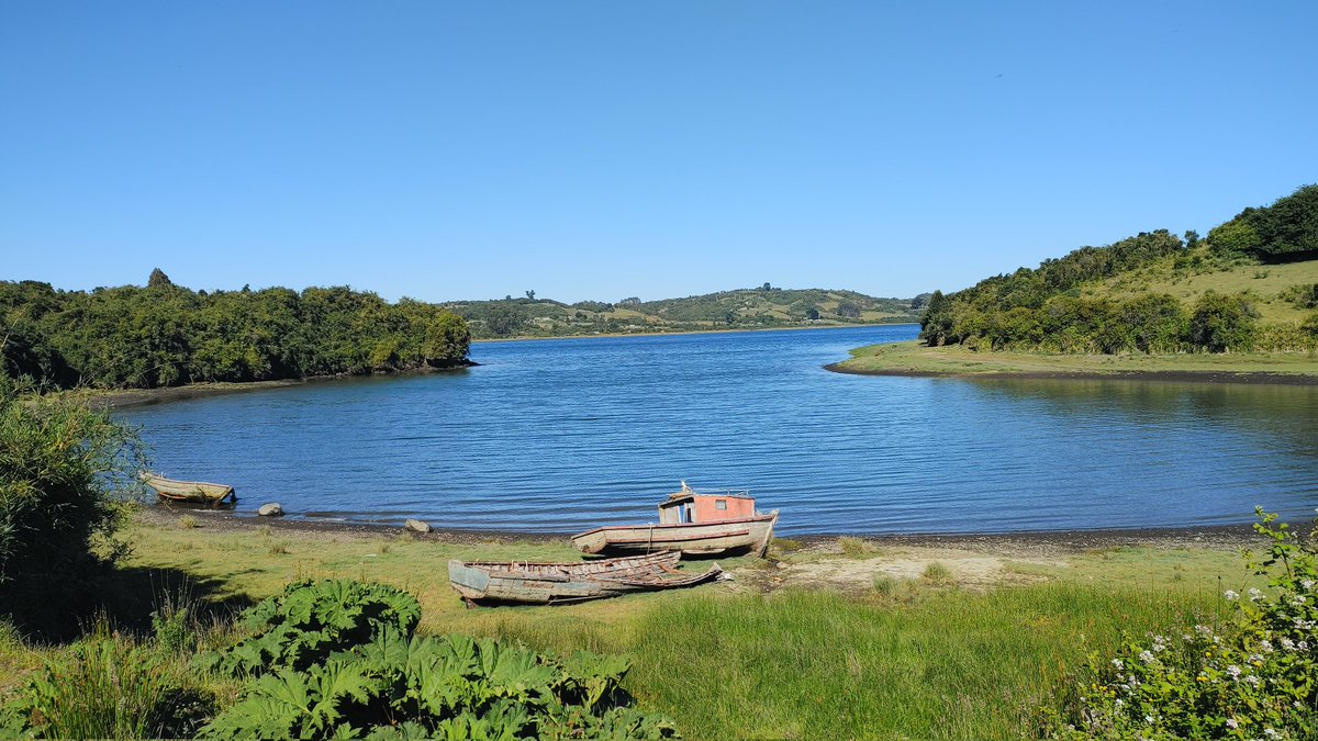 duffilled's tweet photo. An inlet near #Cohem. #Chiloé #Quinchao #abcwalks https://t.co/ylQk6kavfd