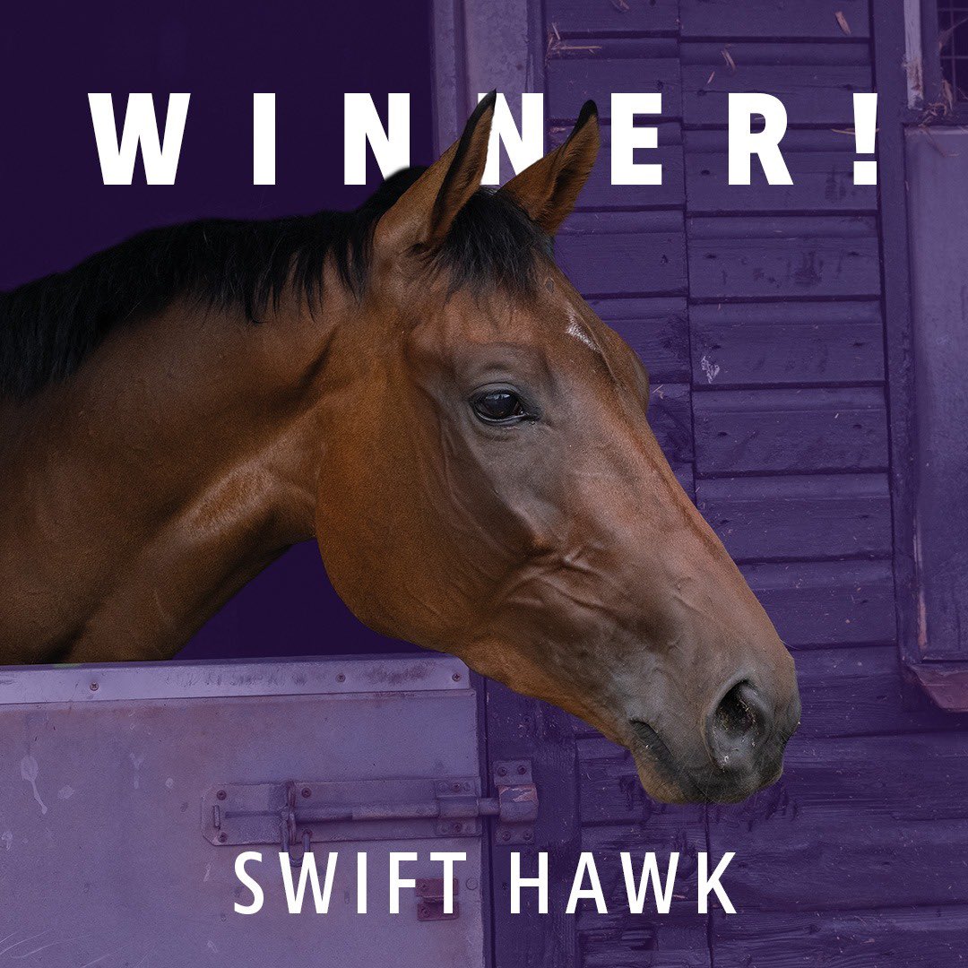 ownersgroupuk's tweet photo. Swift Hawk makes the perfect start to his hurdling career with a convincing win @TauntonRacing for @PFNicholls @williams_lorcan and his https://t.co/v0Lrl3HMFP owners - well done to all! 👏🏻 🏆 🥇 🦅 #swifthawk #ownersgroup https://t.co/NqNUuUbfwY