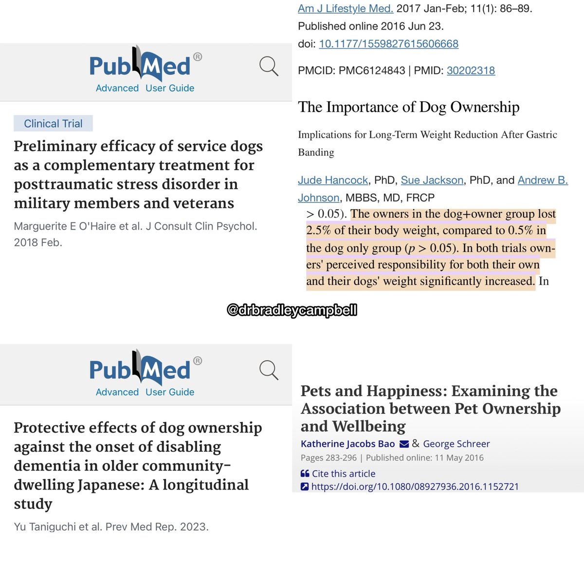 Dr. Bradley Campbell, DC, DABCI tweet media