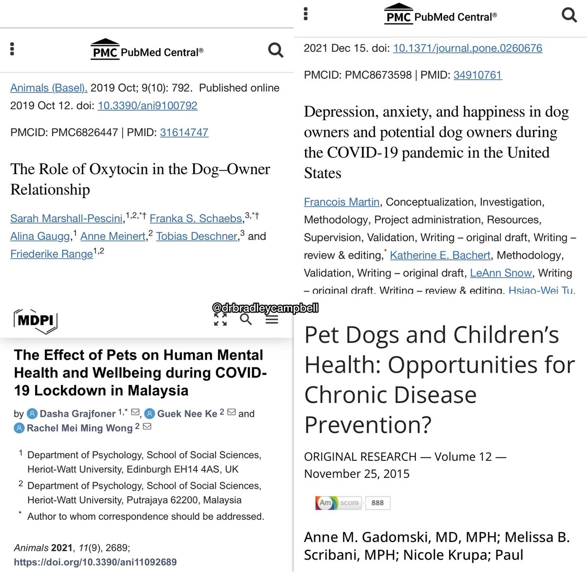 Dr. Bradley Campbell, DC, DABCI tweet media