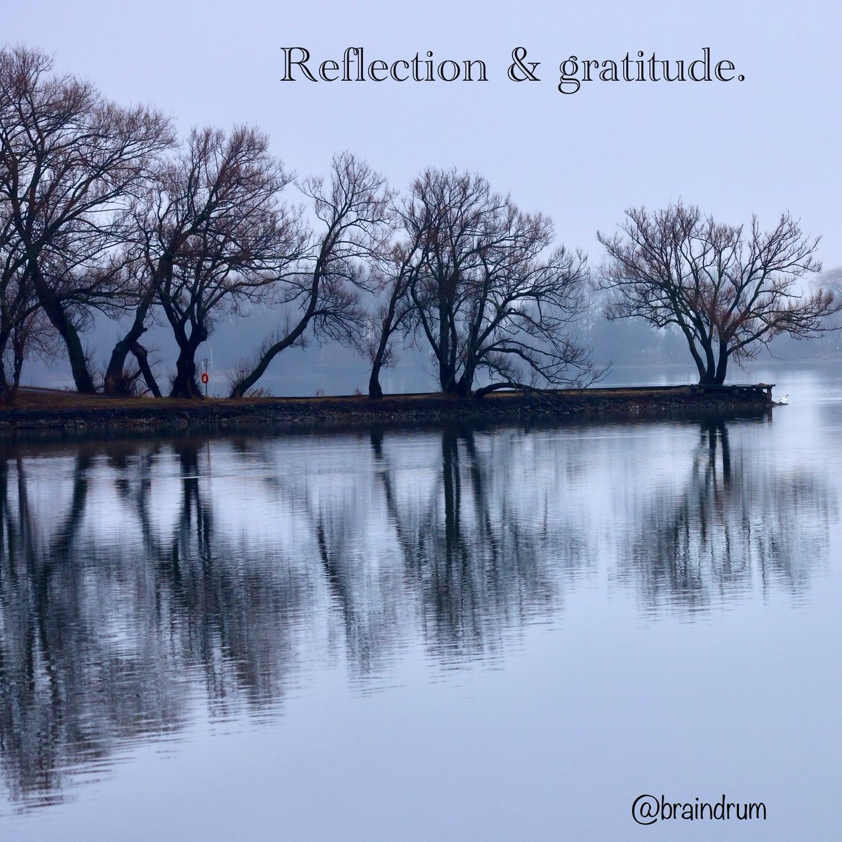 braindrum's tweet photo. Leaves shed &amp; the grey winter’s chill 
Trees reflecting in the clear waters still 

The enciphered peace of nature’s serenity 
Contrasts with the chaos of humanity 

Rhythmic beats of a sole woodpecker 
Cacophonic caws of perturbed crows

#Gratitude for the privilege of #peace 🕊️ https://t.co/1wYblrUqgk
